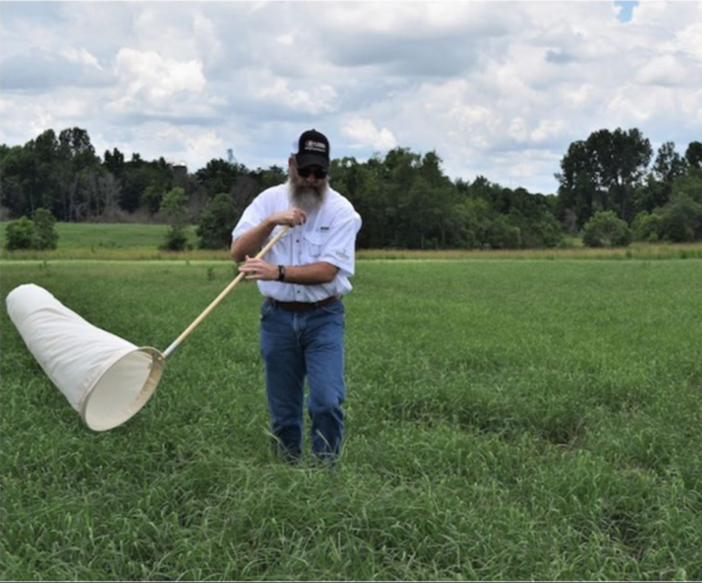 Researcher moving net across field