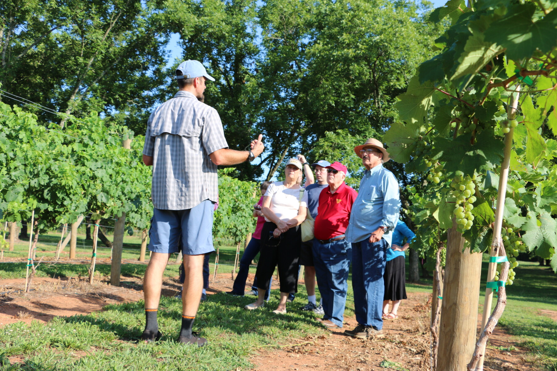 Person talking to a group of people in a field