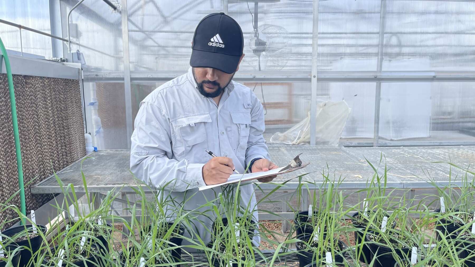 Student looking at plants in greenhouse