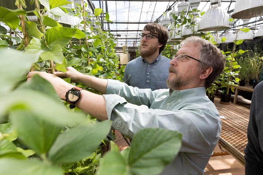 Two people looking at plants in greenhouse