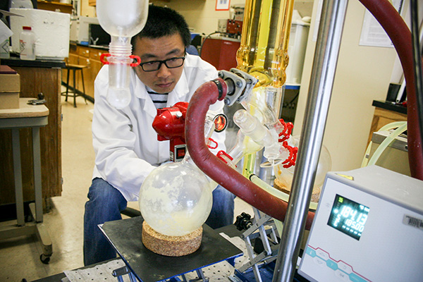 Professor looking at lab equipment in food science lab