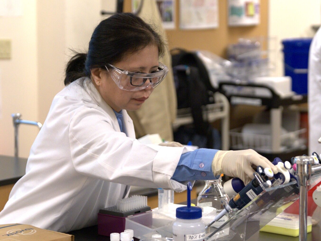 Professor working in lab.