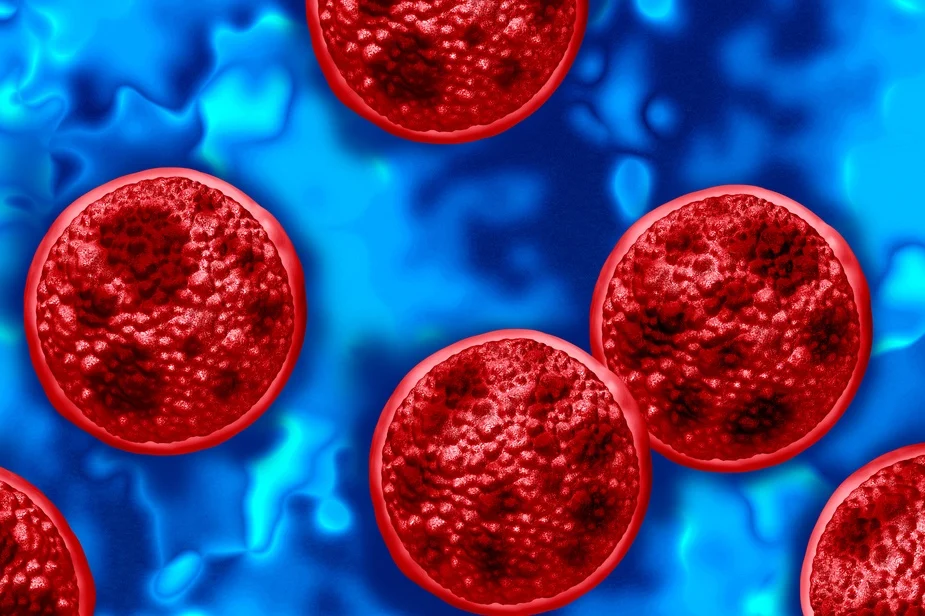 Stock photo of red cells in blue background.